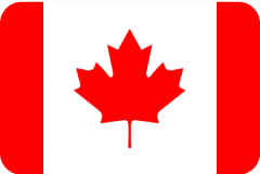 Flag logo