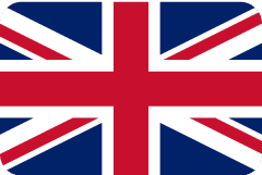 Flag logo